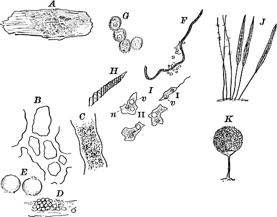 Fig.&nbsp;5.