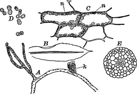 Fig.&nbsp;63.