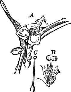 Fig.&nbsp;85.