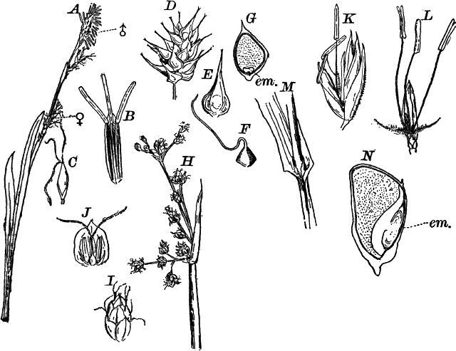 Fig.&nbsp;87.
