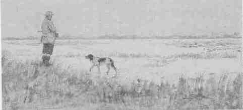 09 on the Shore of The Tank--morning